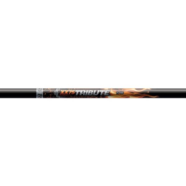 TRIBUTE Easton - 1716 - 